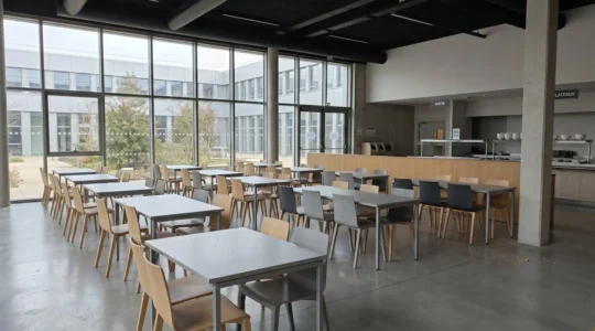 Réfectoire d'entreprise contemporain avec rangées de tables et chaises, éclairage naturel par grandes baies vitrées, aménagement épuré aux tons clairs